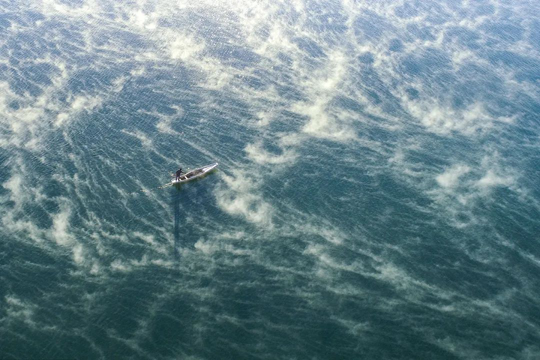 1673330005690013.png q1.png