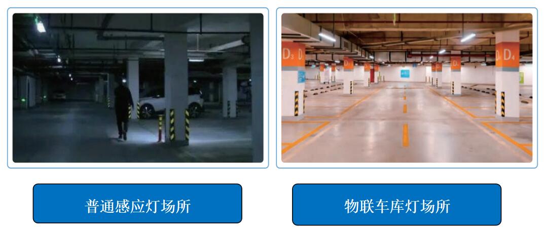 1724054433418255.jpg d5.jpg